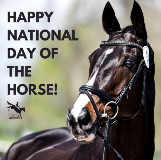 national day of the horse